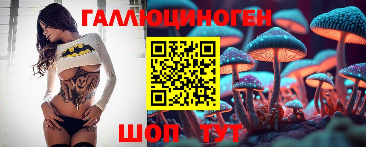 Галлюциногенные грибы Psilocybe Джанкой