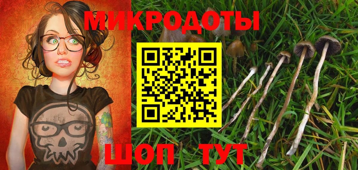 Галлюциногенные грибы GOLDEN TEACHER  Галлюциногенные грибы Magic Shrooms  Вход с VPN  Джанкой 
